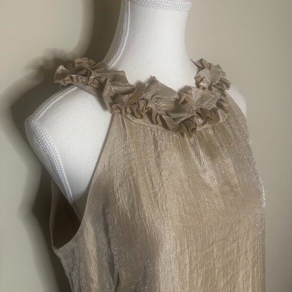 Dress Barn Collection Metallic Champagne Shift Dress – Size 12 - Picture 5 of 8